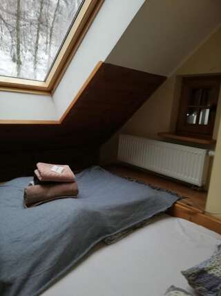 Отели типа «постель и завтрак» Villa Hubertus Сребрна Гура Двухместный номер с 1 кроватью и общей ванной комнатой-3